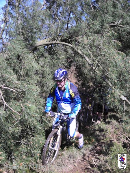20070310132012-Cristian_d10-m03-a2007_h13-m20-2.jpg