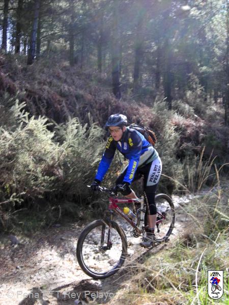 20070310132444-Cristian_d10-m03-a2007_h13-m24-2.jpg