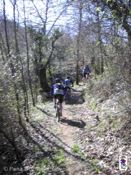 20070310142217-Cristian_d10-m03-a2007_h14-m22.jpg