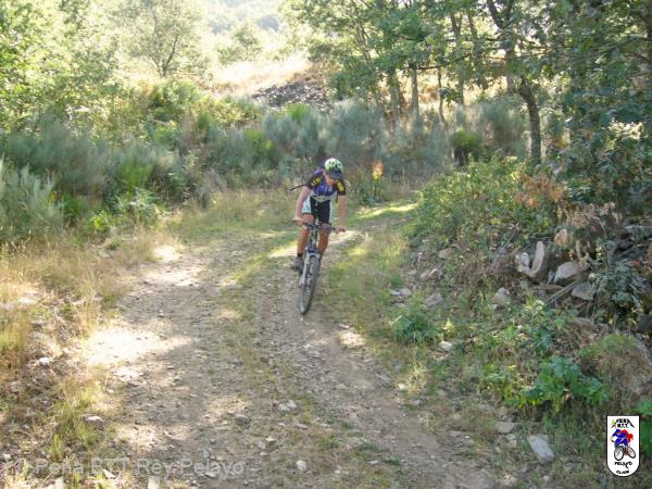 20050813113323-fot21.JPG