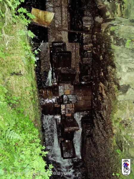 20050813120342-fot44.jpg