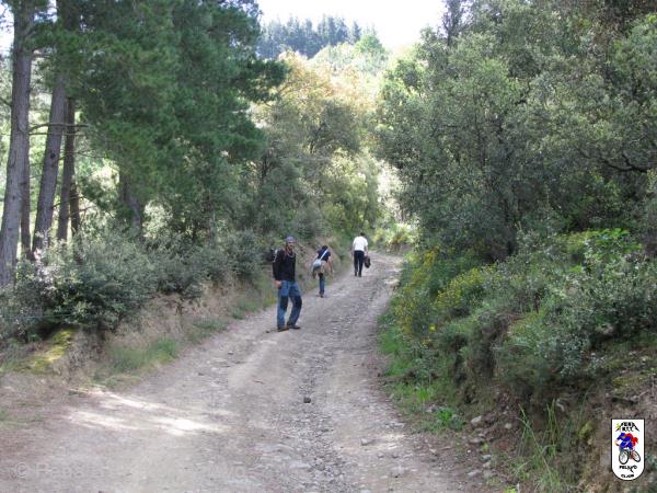 20090517110249_byRuben.jpg