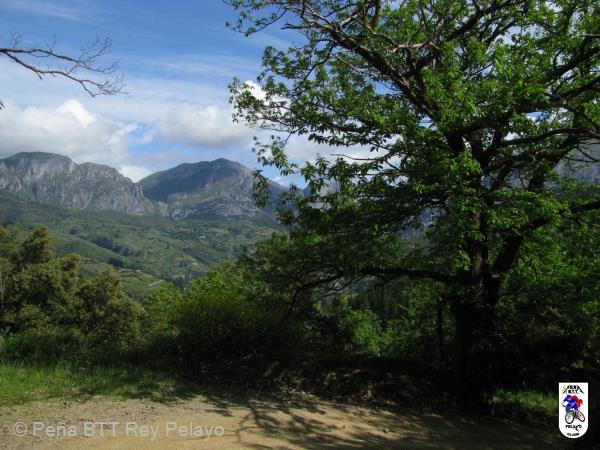 20090517110947_byRuben.jpg