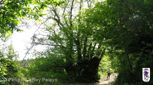 20090517110949_byPablo.jpg
