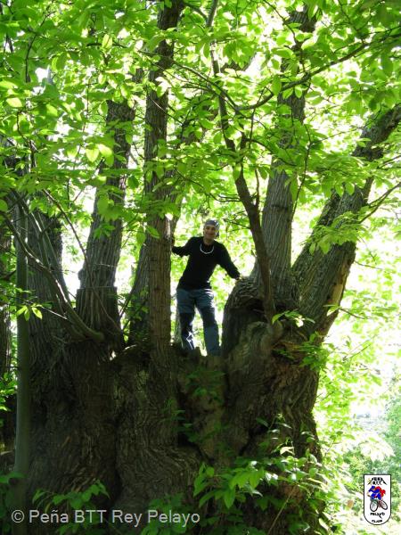 20090517111018_byPablo.jpg