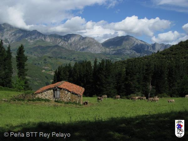 20090517113202_byRuben.jpg