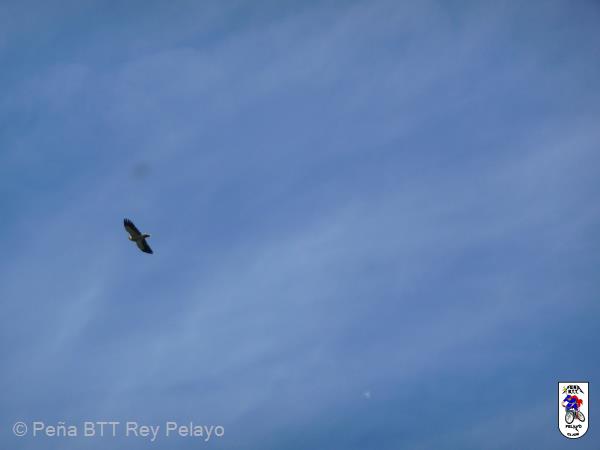 20090517114912_byPau.jpg