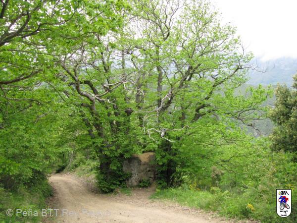 20090517162651_byRuben.jpg