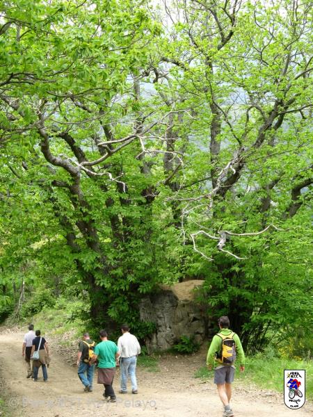 20090517163029_byPablo.jpg