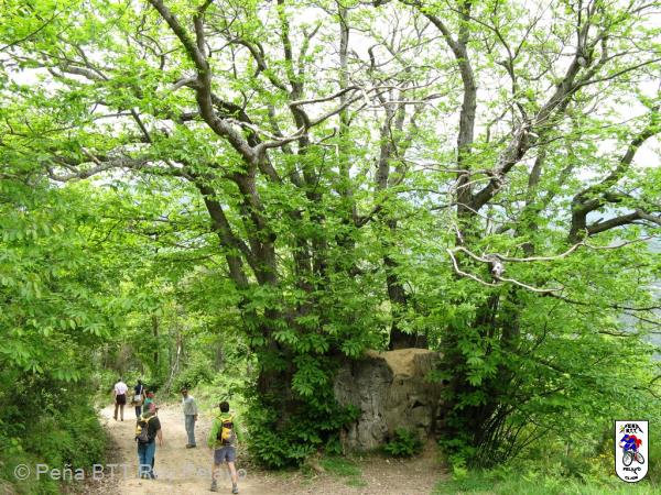 20090517163043_byPablo.jpg