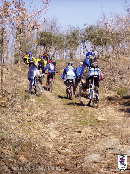 20040328093734-fot16.jpg