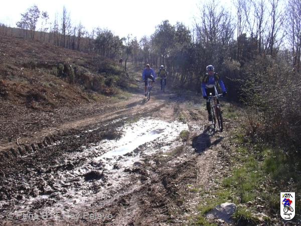 20040328093817-fot18.jpg