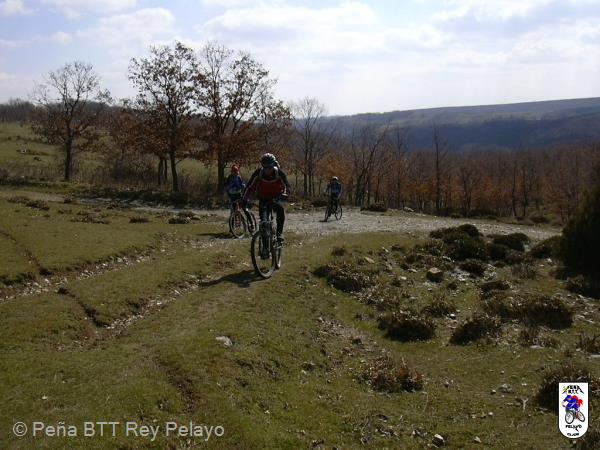 20040328111811-fot30.jpg