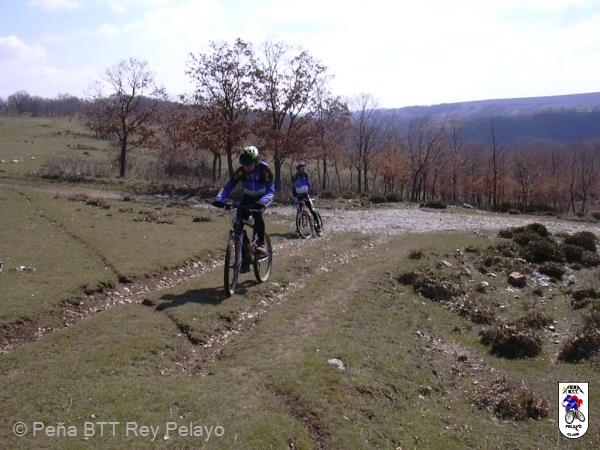 20040328111823-fot31.jpg