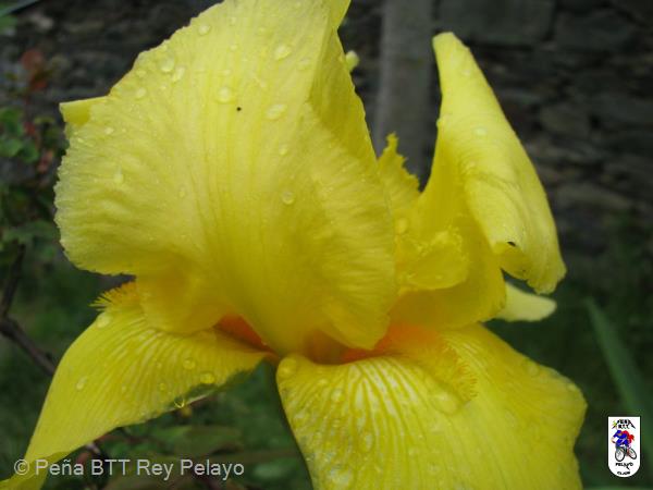 20080531103929_byRuben.jpg