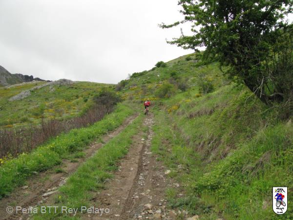 20080601104559_byRuben.jpg