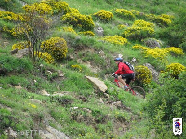 20080601105806_byRuben.jpg