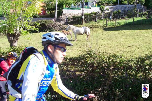 20060422102224-Por Lena_23.JPG