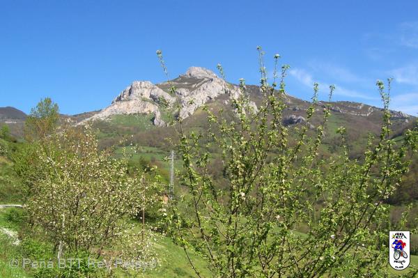 20060422113618-Por Lena_48.JPG