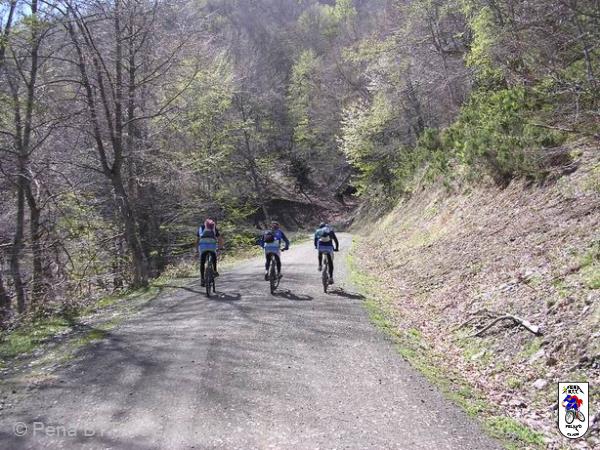 20060422122809-fot137.jpg