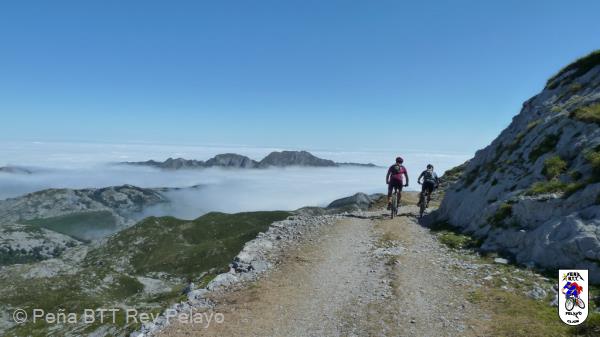 20100731104825.JPG