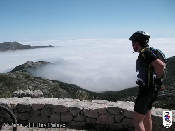 20100731115008.JPG