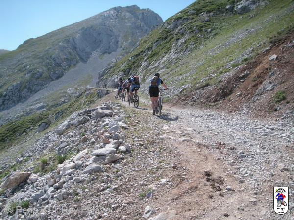 20100731115844.JPG