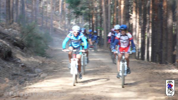 20110918105158_JP342.jpg
