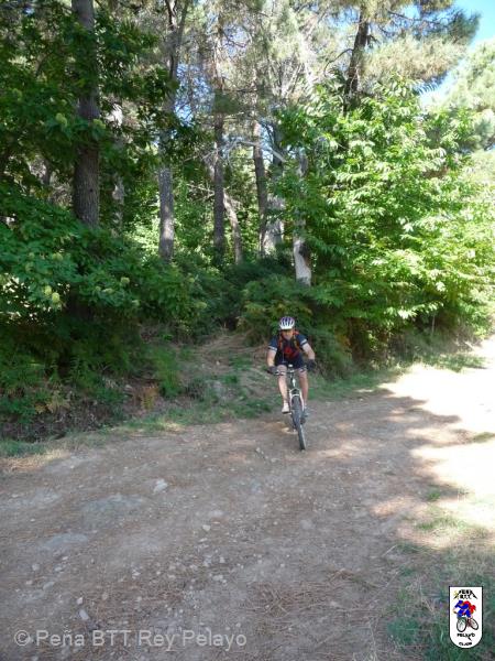 20110918111343_PR15.jpg