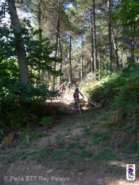 20110918111407_PR17.jpg