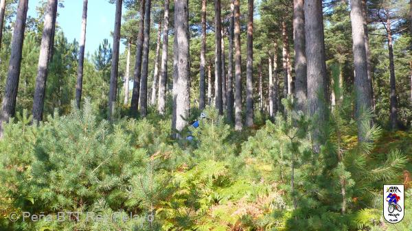 20110917104350_JP074.jpg