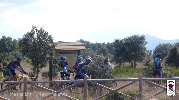20110917162641_JP209.jpg