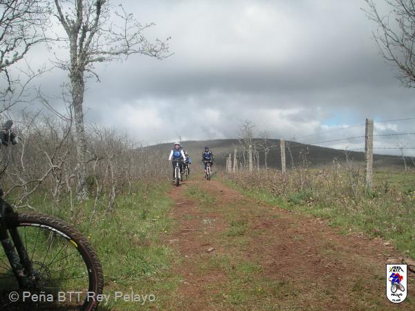 20100515111532.JPG