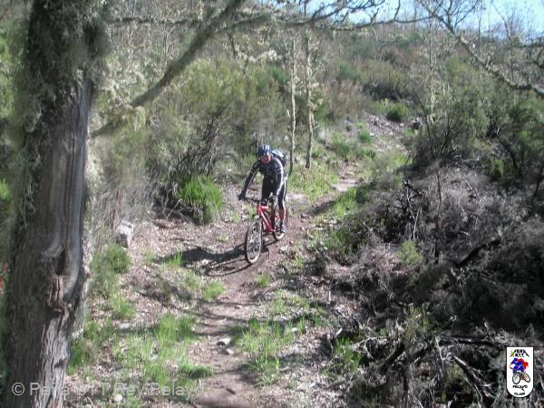 20100516105853.JPG