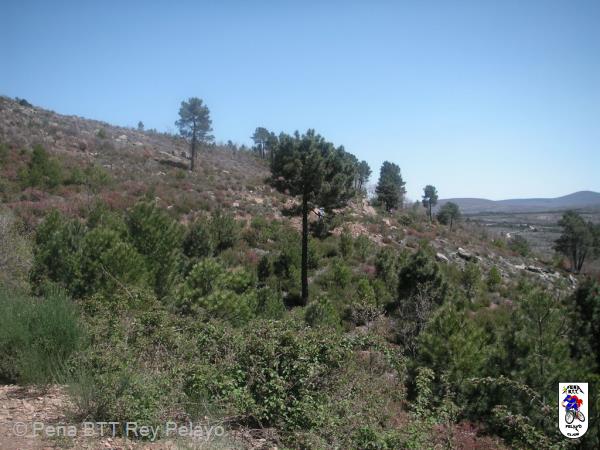 20100516124232.JPG