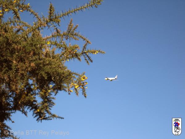 20140308115812.JPG