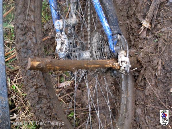 20110219125613.JPG