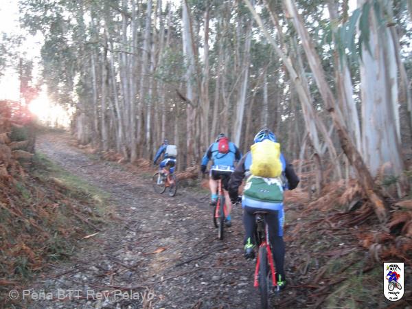 20161217112450_bySaul.jpg