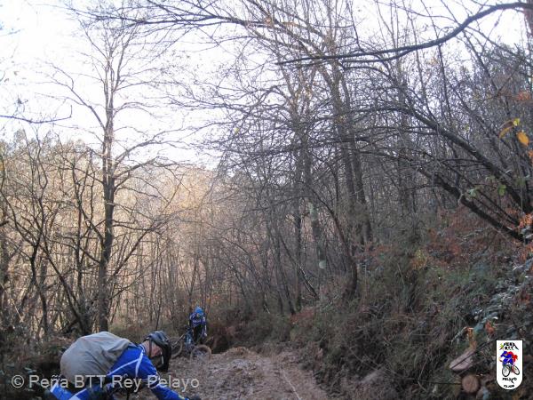 20161217144521_bySaul.jpg