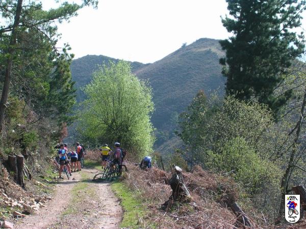 20040320110831-fot41.jpg