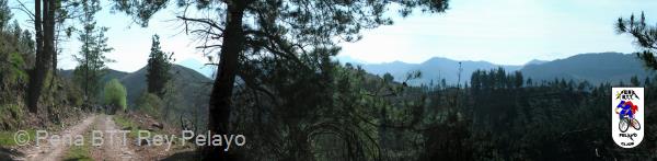20040320110841-fot42.jpg