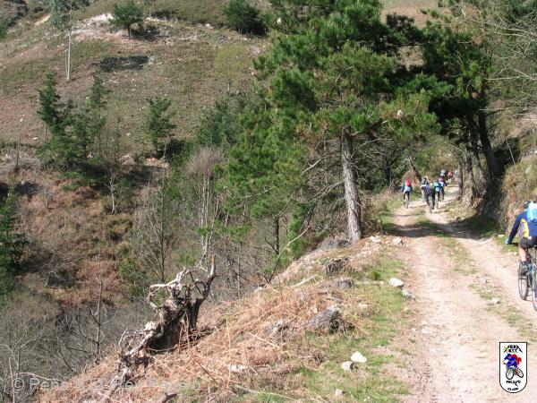 20040320111632-fot48.jpg