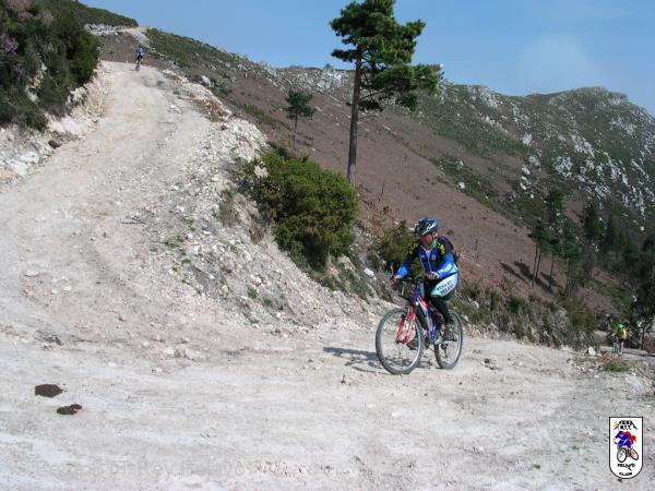 20040320125453-fot62.jpg