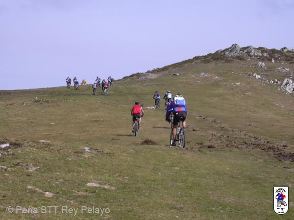 20040320132037-fot20.jpg
