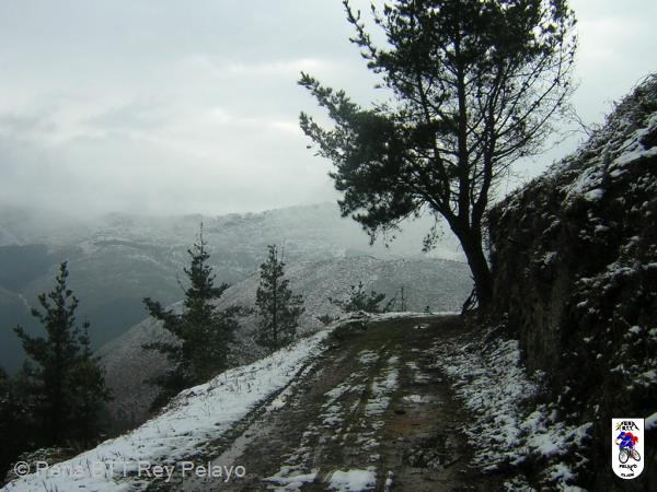 20060128113417-DSCN4589.JPG