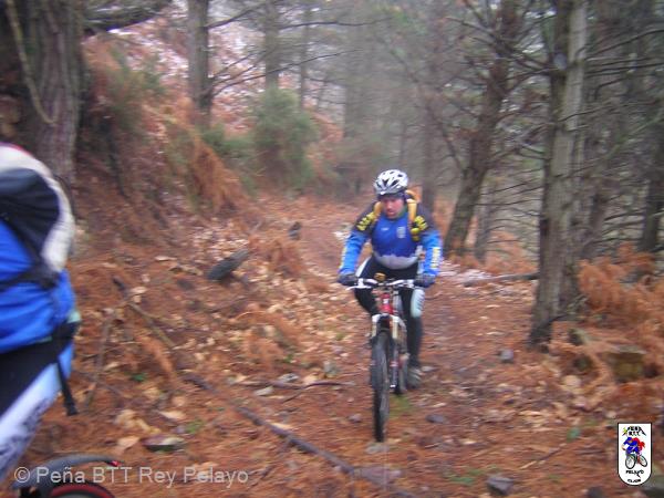 20060128115652-DSCN4599.JPG