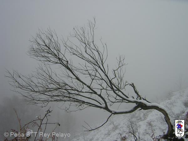 20060128121239-DSCN4608.JPG