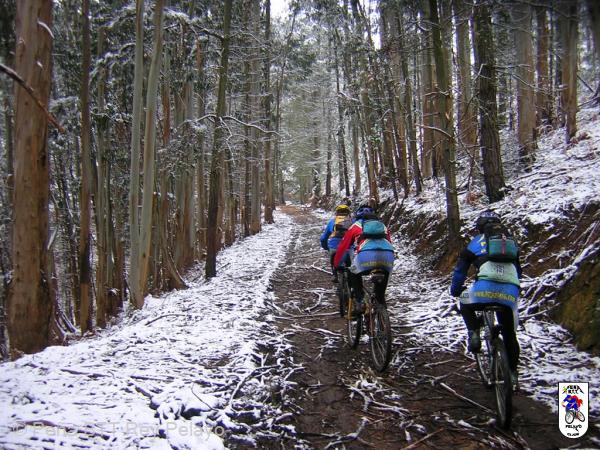 20060128121720-DSCN4613.JPG