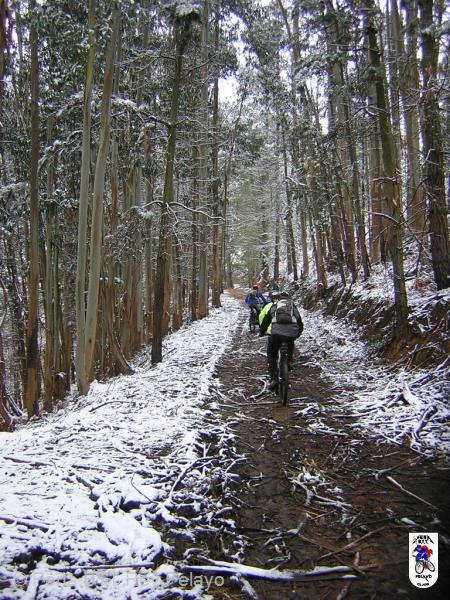 20060128121731-DSCN4614.JPG