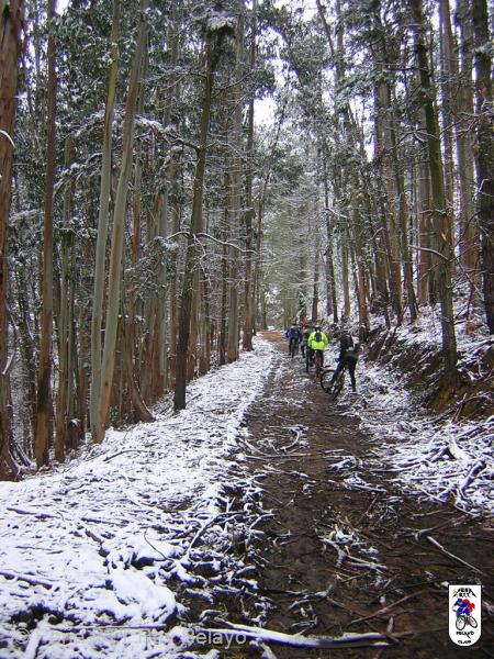 20060128121738-DSCN4615.JPG